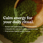 Matcha Green Tea Powder Starter Pack